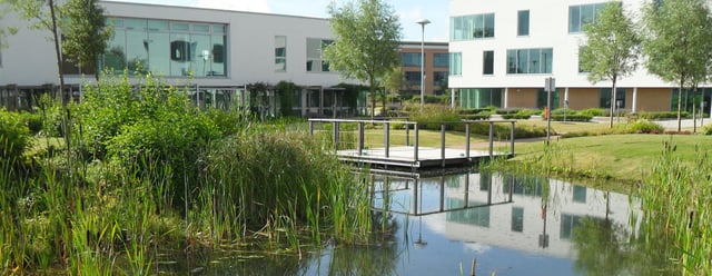 rainton-landscaping-007