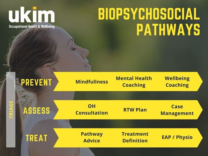 ukim-oh-biopsychosocial-pathways_black-text_flattened-for-web_180221-1